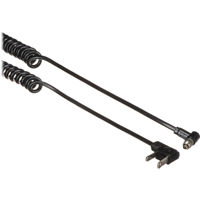EWG Studio Lamp 650w 115v
