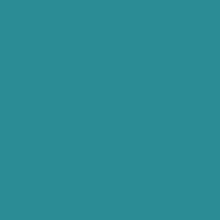 Savage Seamless Background Paper, 26" wide x 6 yards, Ruby, #67