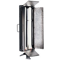 Savage Background Economy Photo Studio Kit with 1 S100 Strobe, Backlight Stand, Background Stand & 53" White Seamless Paper.