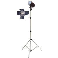 Savage Basic Studio Softbox Photo Lighting Kit with S-100 Studio Monolight Flash  20&quot x 28&quot Softbox &amp 10' Aluminum  Air-Cushioned Lightstand