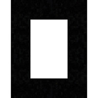Toyo 8x10" Double Cut Film Holder fits any 8x10