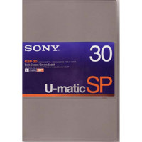 Swing Solo CD Case Holds 20 CDs, Two CDs Back to Back in Archival Plastic Sleeves with Soft Poly Divider, Teal.