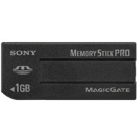 Sony 1 GB Memory Stick Pro Memory Card.