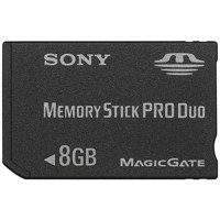 SmartDisk FireLite, 160 GB 2.5" Portable Hard Drive with USB 2.0 Interface, for Mac & Windows.