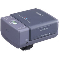 Sony 2 GB Memory Stick Micro (M2) Memory Card with M2-Duo Adapter.
