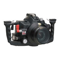 Profoto StickLight Lamp Head  for use with the Acute  D4 and Pro 7 Generators  2400 watt seconds