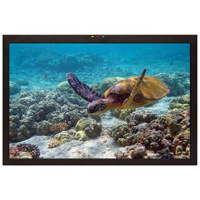 Marshall V R201 IMD TE 20 Widescreen High Definition Rack Mountable Monitor with HDSDI SDI Inputs In Monitor Display