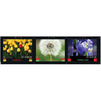 Marshall 24 3D LCD Monitor with Dual HDSDI Inputs 2 3D Right Eye Left Eye Camera Rigs 1920 x 1200 Resolution 1000 1 Contrast Ratio