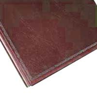 Webway Model 246, Picture Pocket Prestige, Expandable Portrait Album with Solid Green Covers, Holds 16 4" x 6" Photos, 2 Per Page.