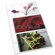 Adorama 4" x 6" 3-up Proof Photo Refill Pages, Pack of 25.