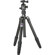 Benro TRA-B269 Travel Angel, Aluminum Tripod with B-1 Dual Action Ball Head, Maximum Height 61.3", Supports 26.4 lbs (12 kg)