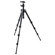 Manfrotto 7302YB Compact Tripod with Quick Release Ball Head and Leg Angle Selectors, Max. Height 56", Supports 7 lbs., Black