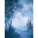 Studio Dynamics General Scenic Series 12' x 12' Muslin Background, Windridge.