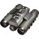 Bushnell 8 x 30 ImageView Compact Roof Prism Binocular with 2.1 Megapixel Still Pictures, SD Card Slot