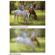 B + W 40.5mm Digital Pro Soft Image (655) Glass Filter
