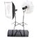 Bowens Esprit DX Two Monolight Kit with Two Esprit Digital DX 250 Watt Second Monolights, Umbrella, Softbox, Stands & Kit Bag