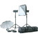 Bowens Esprit Gemini 250/250, 500 watt Second Two Head Monolight Kit with Stands, Softbox, Umbrella, Accessories & Case