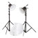 Bowens TriLite Still Life Set, Two Daylight Fluorescent Lighting Set for Digital Cameras, with Stands & Redwing Cocoon.