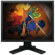 Eizo S2100 FlexScan 21.3" Color TFT LCD Monitor 1600 � 1200 Native Resolution, Color: Black, with Height Adjustable Stand