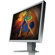 Eizo S2100 FlexScan 21.3" Color TFT LCD Monitor 1600 � 1200 Native Resolution, Color: Gray, with Height Adjustable Stand