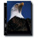 Print File Archival Photo Pages Holds Two 8" x 10" Prints, with Black Background Pack of 25