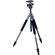 Giottos MT-9241 Pro 4 Section Aluminum Series, Classic Tripod Legs, with MH1001-652 Ballhead - Maximum Height: 59.6", Supports 6.6 lbs