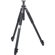 Giottos MTL 9271B 3-Section Compact Aluminum Tripod with Classic Ball Head, Maximum Height 63", Supports 22 lbs.