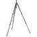 Gitzo GT2531LV Series 2 Leveling 3 Section Carbon Fiber Tripod with G-Lock, Maximum Height 62", Supports 26 lbs.