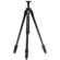 Induro C013 Carbon 8X C-Series Tripod Leg Set, Extends to 55.41", Supports 8.8 lbs.