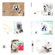 Dg Foto Art Galleria Cards Vol.-1, Creative Plug-in Software for Dg Foto Art Lite, Classic, Gold or DeZigner Series, for Windows XP & 2000.