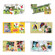 Dg Foto Art Galleria School, Sports Vol.-1, Creative Plug-in Software for Dg Foto Art Lite, Classic, Gold or DeZigner Series, for Windows XP & 2000.