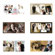 Dg Foto Art Galleria Wedding, Wedding Vol.-3, Creative Plug-in Software for Dg Foto Art Lite, Classic, Gold or DeZigner Series, for Windows XP & 2000.