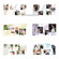 Dg Foto Art Galleria Wedding, Wedding Vol.-4, Creative Plug-in Software for Dg Foto Art Lite, Classic, Gold or DeZigner Series, for Windows XP & 2000.