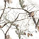 LensCoat Lens Cover for the Sigma 50 - 500mm Zoom Lens - Realtree Hardwoods Snow (hws)
