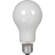 PH211 Enlarger Lamp 75w 125v