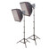 Interfit Photographic Stellar 500watt Tungsten Flood Light 2-Head Kit with Reflectors, Bulbs, 24"x 24" Softboxes & Light Stands, 1000 Total Watts