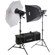 Interfit Photographic INT187 Stellar X 500 Watt Tungsten Photo Flood Twin Head Kit, with Softbox, Umbrella, Stands & Lamps, 3200k Color Temperature