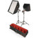 Photoflex StarFlash 150 Gemini LiteDome Kit with 2 StarFlash 150 Monolights, Small LiteDome, Medium LiteDome, Connectors, Lightstands, Case with Wheels