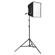 Photoflex Starlite Small Kit, with 500 watt Starlite, Connector, Small Silverdome, 7.8' Lightstand