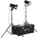 Smith Victor K82 500-Watt Photoflood Kit with Light Cart on Wheels Carrying Case