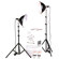 Smith Victor KT1000 2-Light 1000-Watt Thrifty Photoflood Kit with Corrugated Carrying Case.