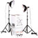 Smith Victor KT500 Single, 500 watt Photoflood Light Kit with Corrugated Carrying Case