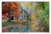 Image Thumbnail