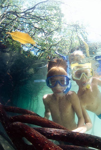 underwater photography