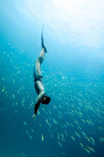 underwater photography