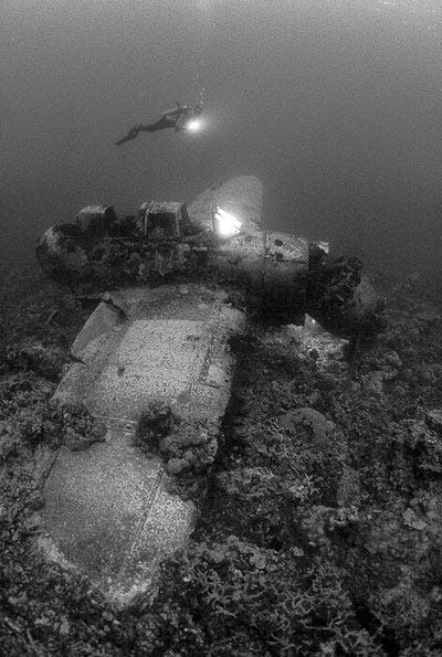 underwater photography