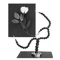 Studio / Still Life & Copy Equipment