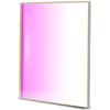 Baader Planetarium Clear Focusing 65x65mm Square Filter (3mm Thick FC-SQ65