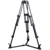 Acebil 2 Stage 100mm Ball Base Aluminum Tripod T1002G