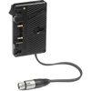 Anton Bauer QRC-Dual PT Gold Mount QRC-DUAL-PT, Video > Professional Video > Power Accessories > Anton Bauer Power Accessories